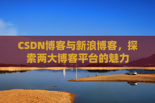 CSDN博客与新浪博客，探索两大博客平台的魅力